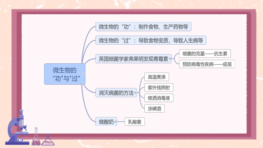 第一单元单元显微镜下的生命世界综合与测试  习题课件(共20张PPT)