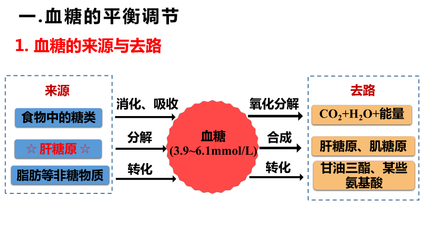 3.2 激素调节的过程-高二生物课件(共30张PPT)（人教版2019选择性必修1）