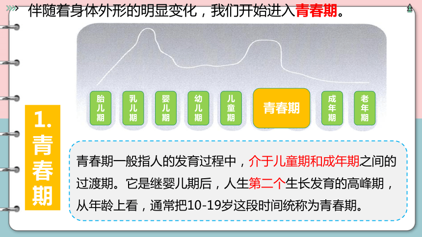 1.1 悄悄变化的我 课件(共31张PPT)