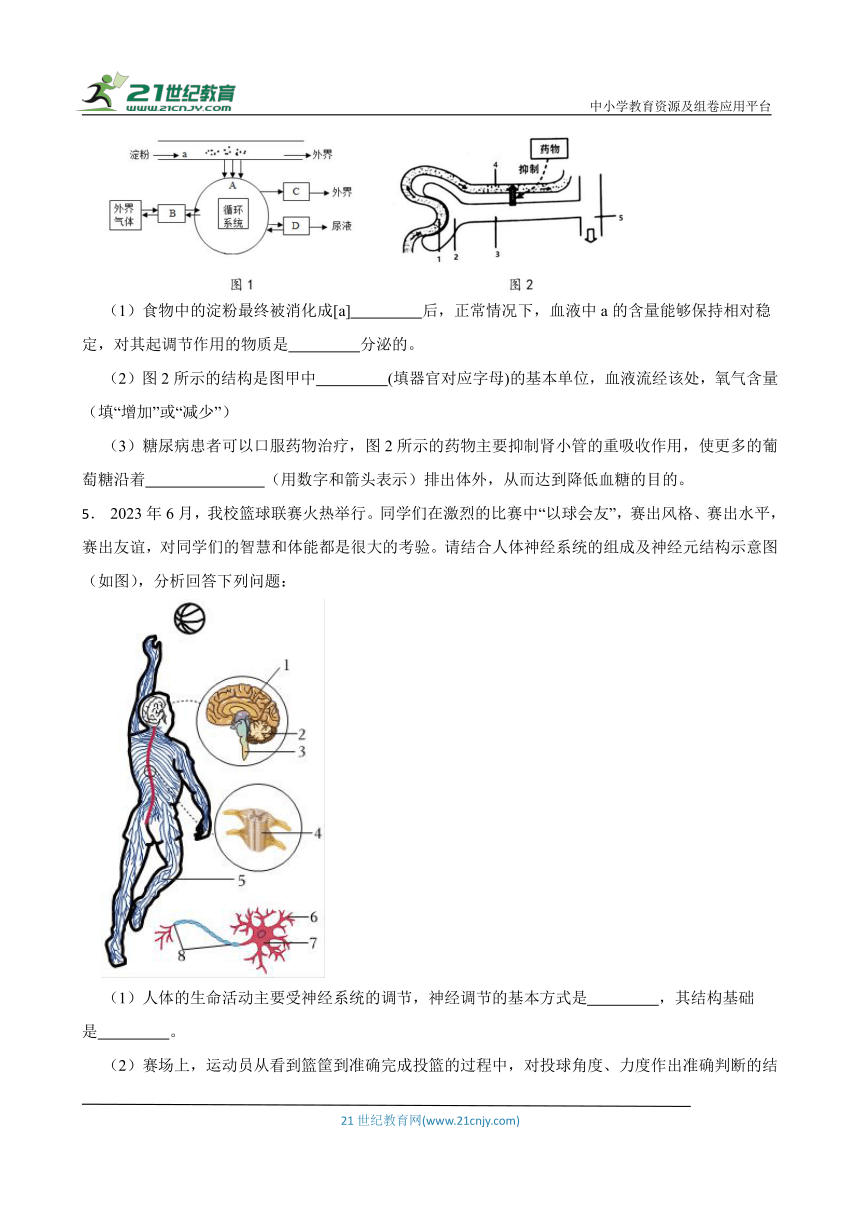 2024年中考生物读图理解专题复习：人体生命活动的调节（含答案）