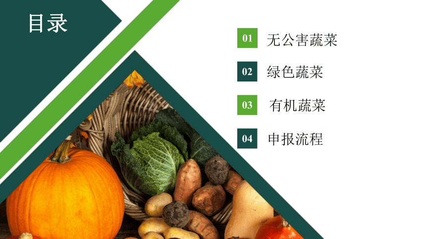 1.2蔬菜安全生产体系 课件(共21张PPT)-《蔬菜生产技术》同步教学（中国农业出版社）