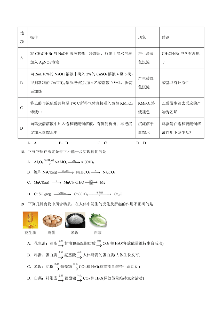 第四章《生物大分子》测试题（含解析）2023-2024学年高二上学期人教版（2019）化学选择性必修3