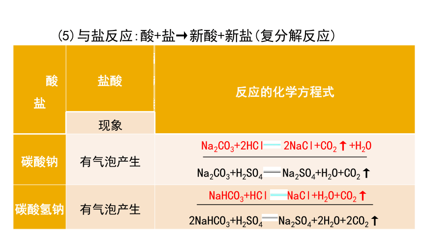 2024年中考化学总复习考点探究 课件 第十单元 酸和碱 第1课时(共51张PPT)