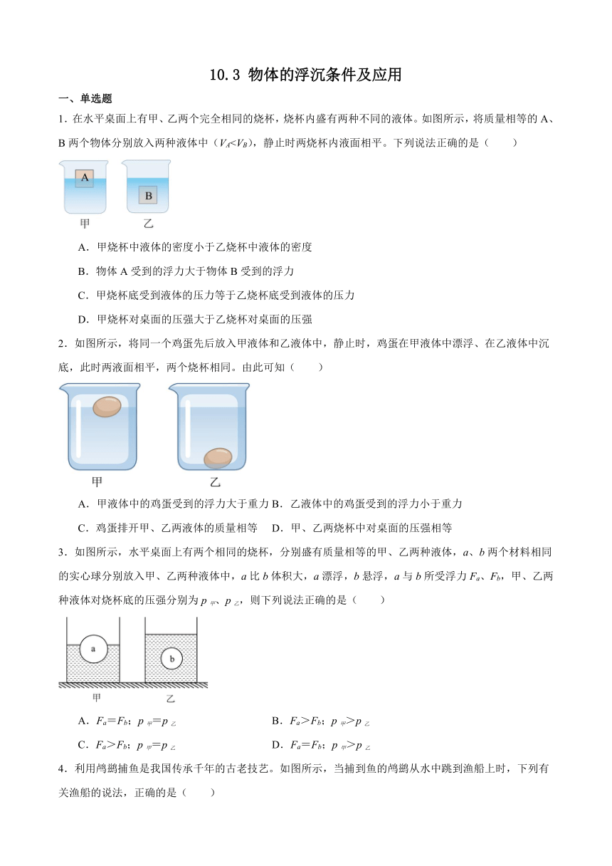 10.3 物体的浮沉条件及应用 课后练习（含解析） 2023-2024学年人教版物理八年级下册