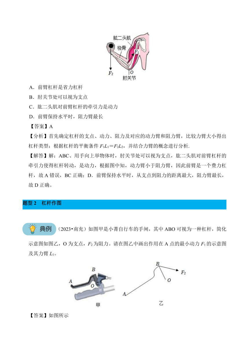 2023-2024学年八年级下册物理人教版专题15 杠杆讲义（含答案）