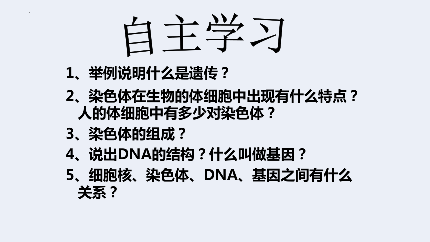 8.22.1 DNA是主要的遗传物质课件(共27张PPT) 苏教版生物八年级下册