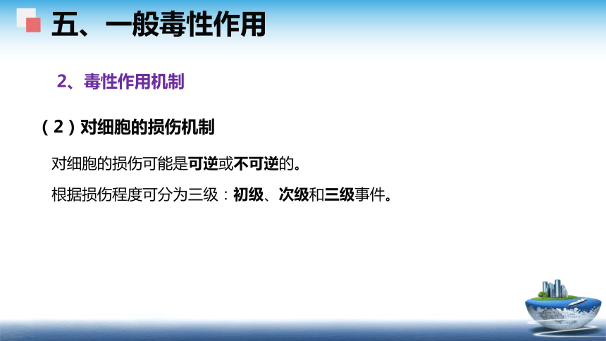 4食品安全性评价（2） 课件(共58张PPT)- 《食品安全与控制第五版》同步教学（大连理工版）