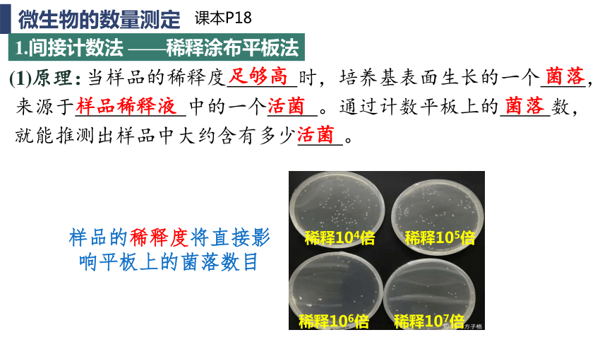 1.2.2微生物的选择培养和计数课件（共28张PPT）-人教版选择性必修3