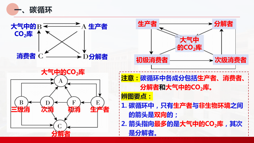 3.3生态系统的物质循环课件-(共23张PPT1份视频)人教版（2019）选择性必修2 (1)