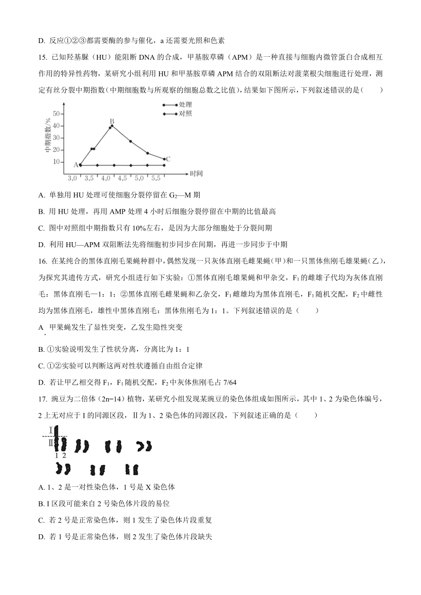 浙江省强基联盟2023-2024学年高三下学期3月联考试题 生物 （解析版）