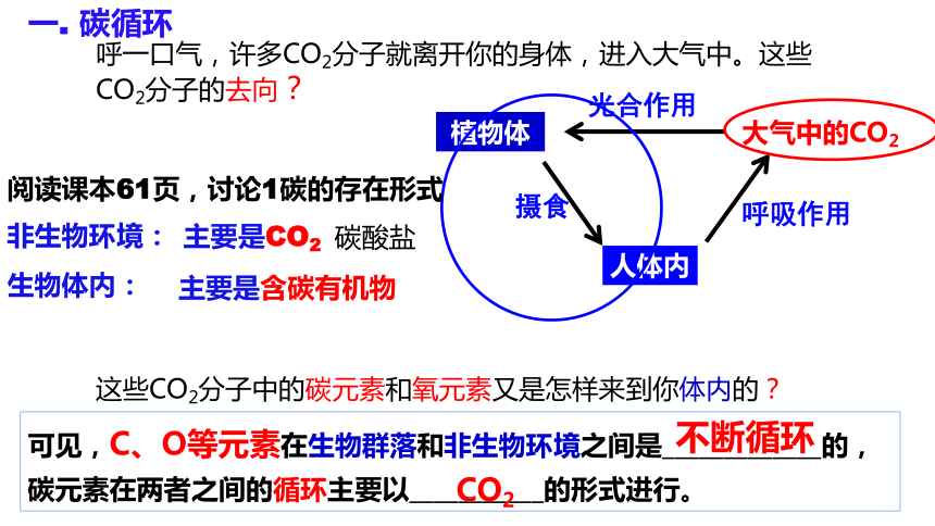 3.3生态系统的物质循环课件(共26张PPT)-人教版（2019）选择性必修2