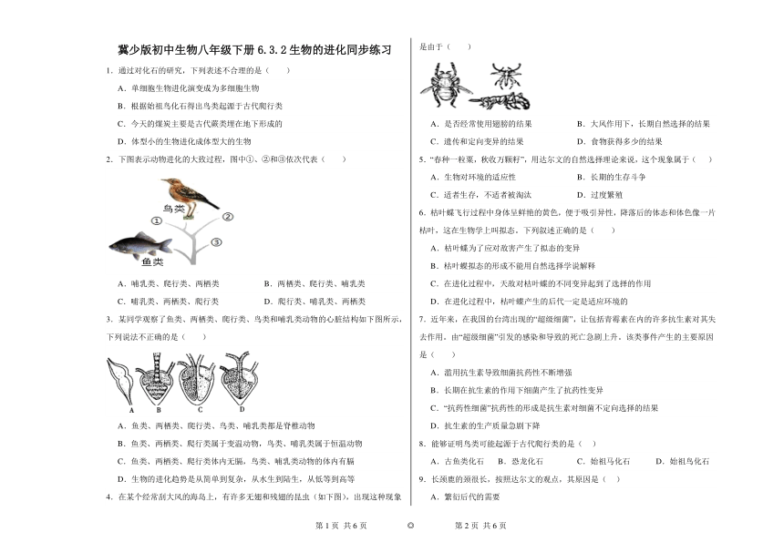 冀少版初中生物八年级下册6.3.2生物的进化同步练习（含答案）