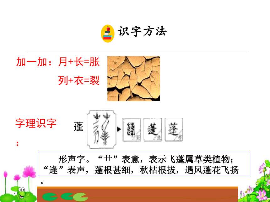 3荷花_1 教学课件（51张）