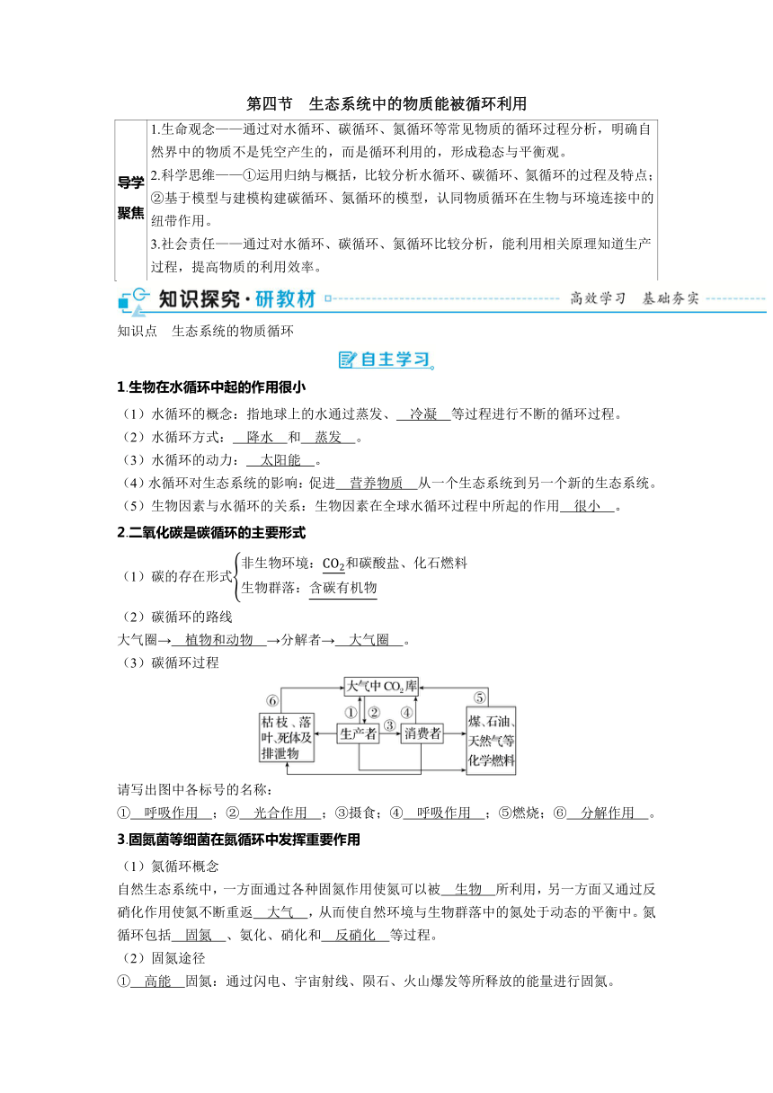 2023-2024学年浙科版选择性必修2 第三章第四节　生态系统中的物质能被循环利用 学案（含解析）