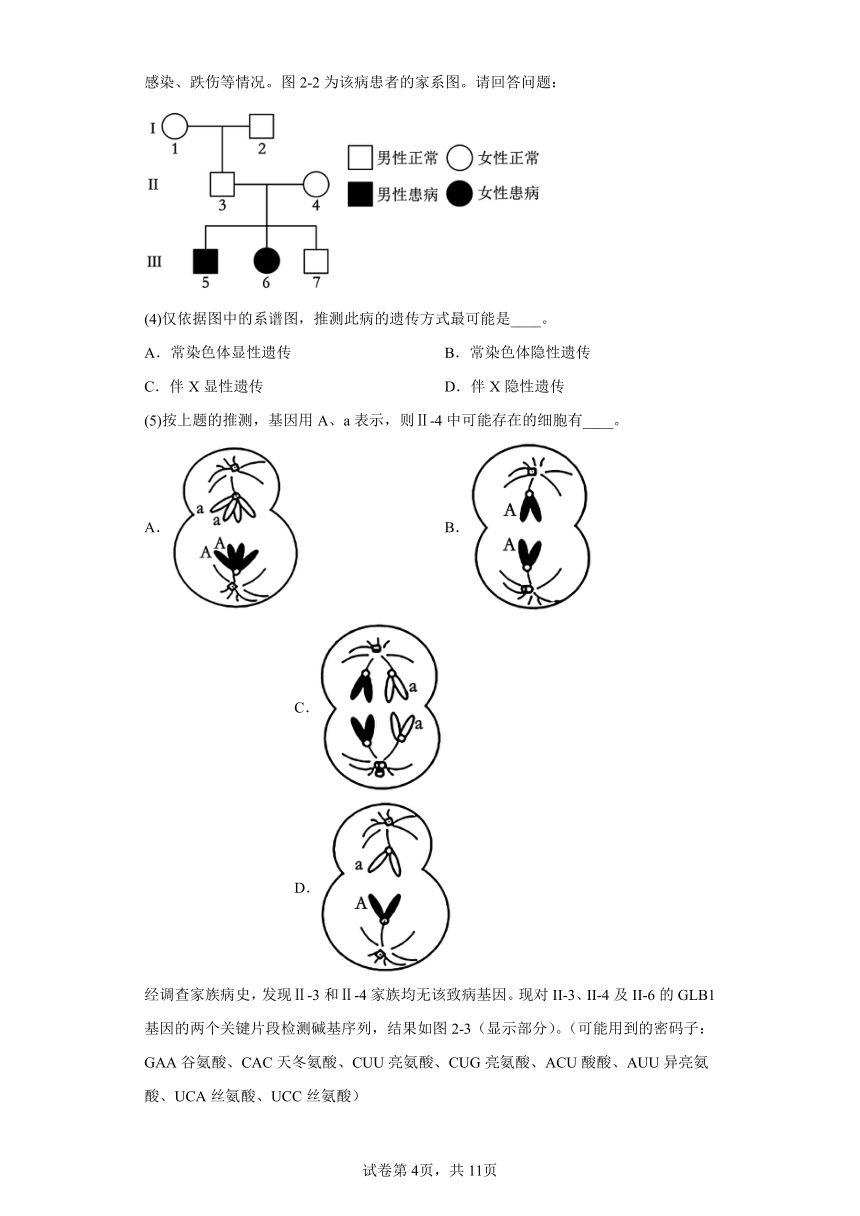 2024届上海市普陀区高三下学期二模生物试题（含解析）