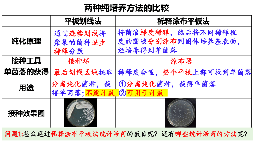 1.2.2微生物的选择培养和计数课件（共28张PPT）-人教版选择性必修3