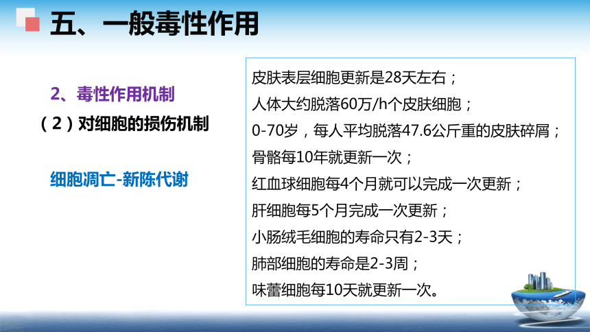 4食品安全性评价（2） 课件(共58张PPT)- 《食品安全与控制第五版》同步教学（大连理工版）