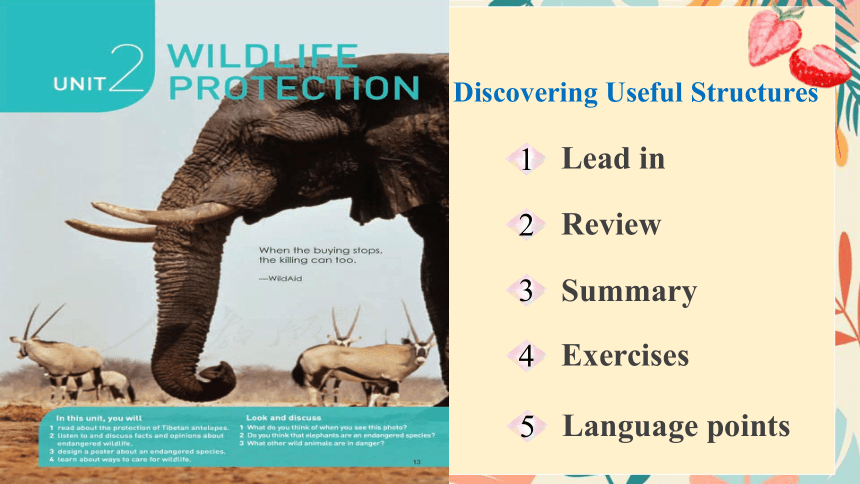 人教版（2019）必修 第二册Unit 2 Wildlife protection Discovering Useful Structures 课件(共26张PPT)