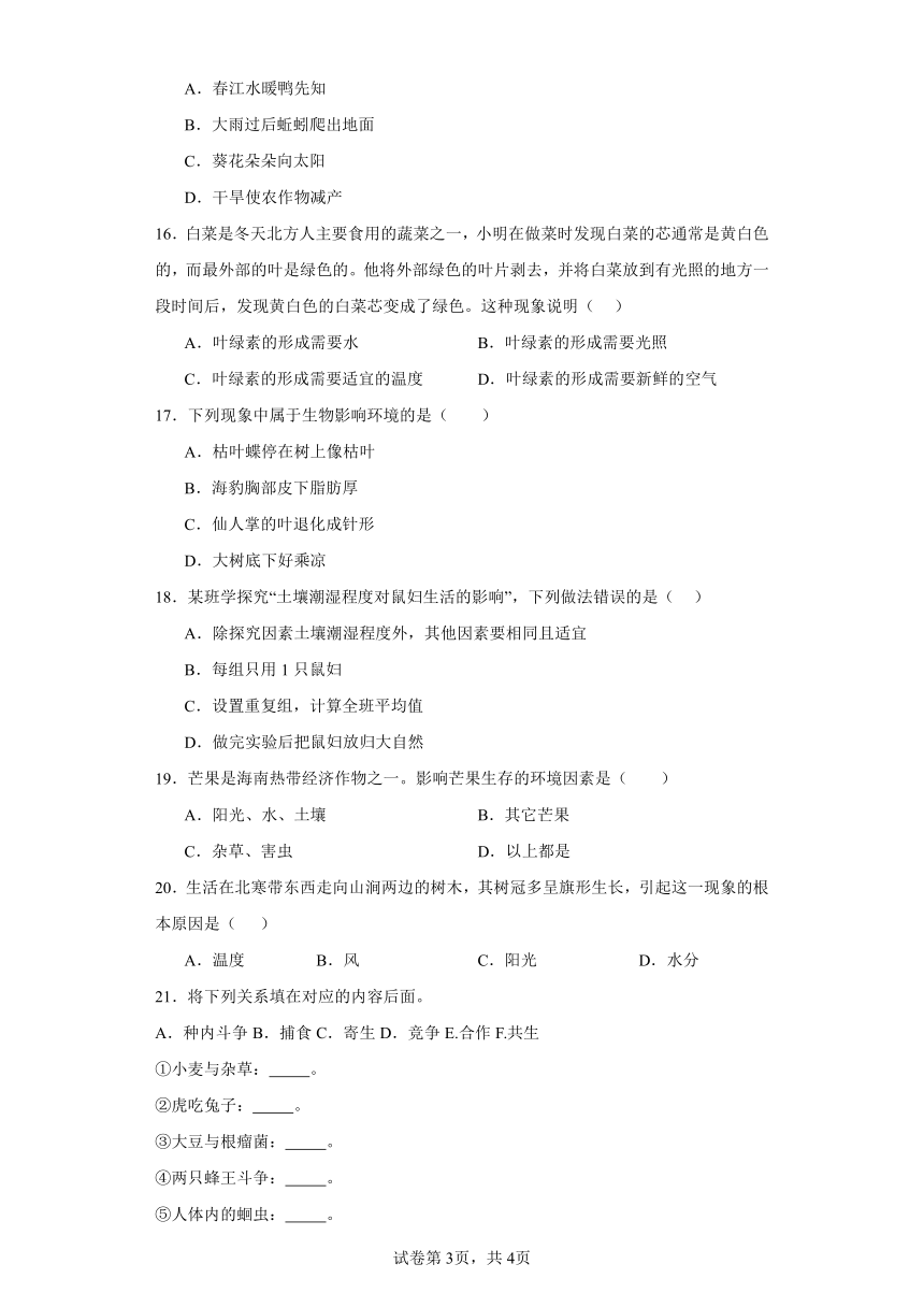 苏教版初中生物1.1.2生物与环境的关系同步练习（含答案）