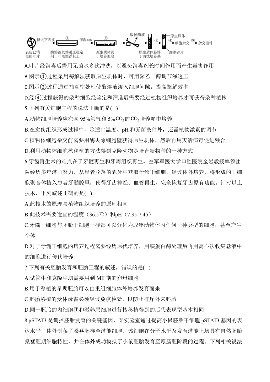 第二章 细胞工程—2023-2024学年高二生物学苏教版（2019）选择性必修三单元检测卷（B卷）（含解析）