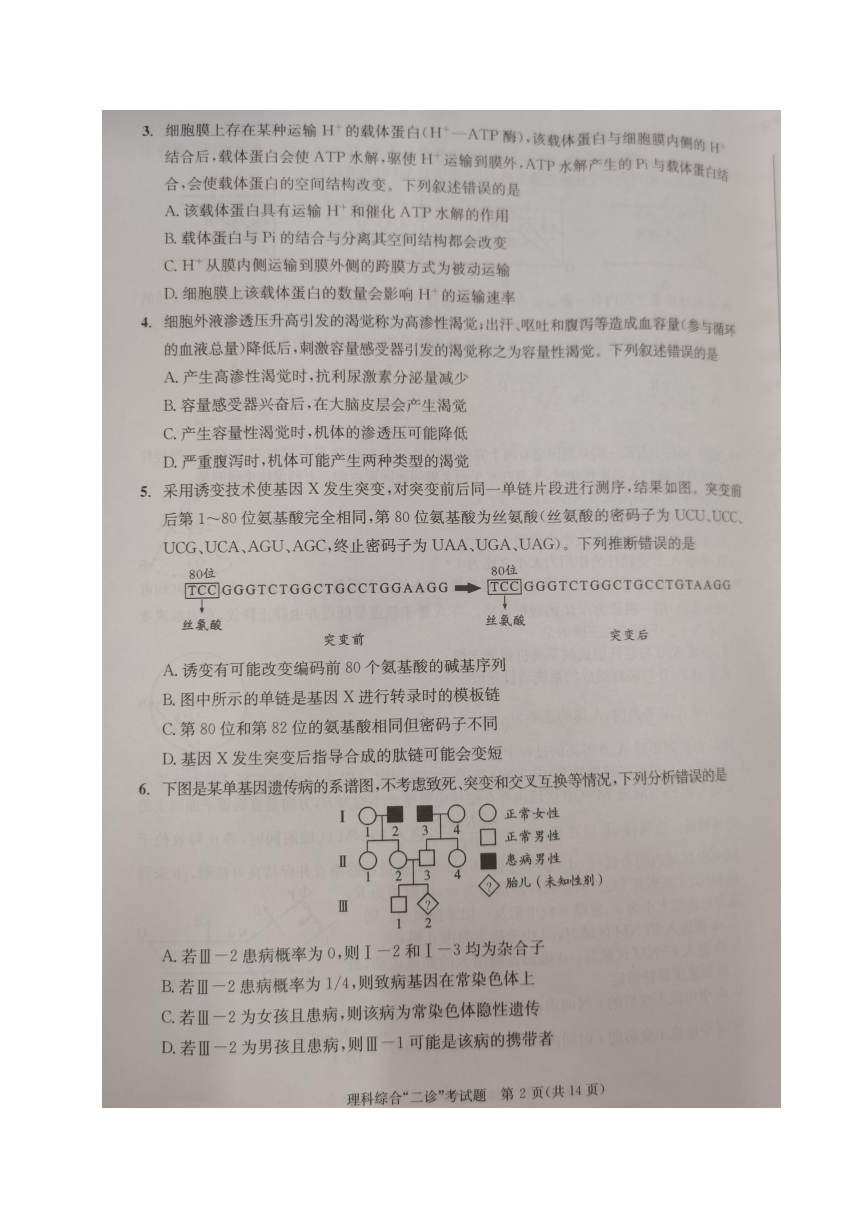 2024届四川省成都市高三下学期二诊考试理科综合试题（扫描版无答案）