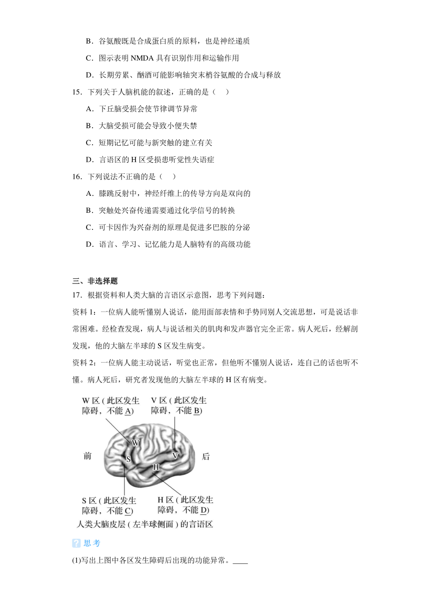 2.5人脑的高级功能-【同步练】2023-2024学年高二生物（人教版2019选择性必修1）（含解析）