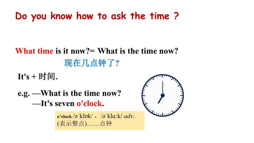 七年级下册  Unit 2 What time do you go to school?  Section A (1a-2d) 课件  (共19张PPT)
