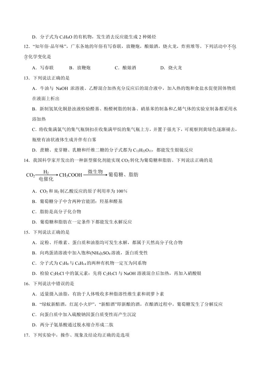 第四章《生物大分子》测试题（含解析）2023-2024学年高二上学期人教版（2019）化学选择性必修3