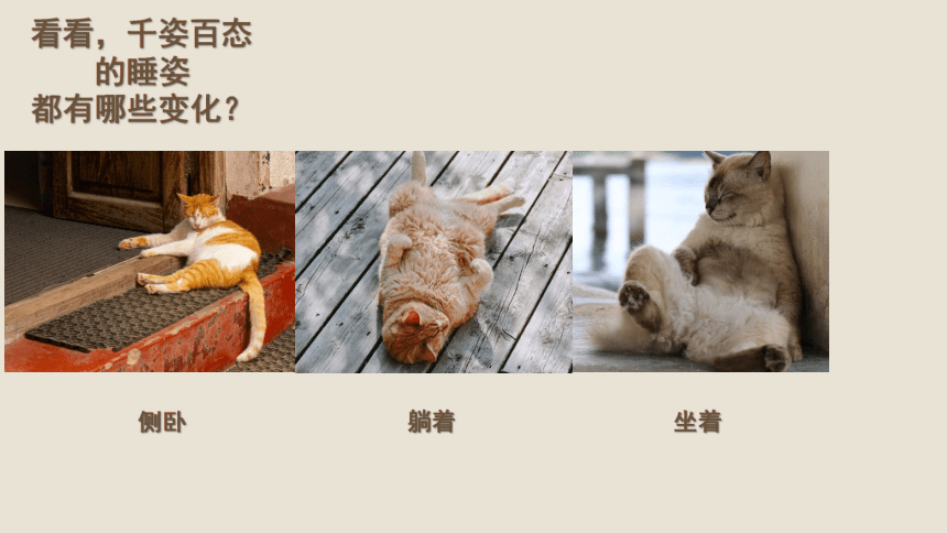 人美版(北京) 美术二年级上册 3.小花猫在睡觉 课件(共21张PPT+内嵌视频)
