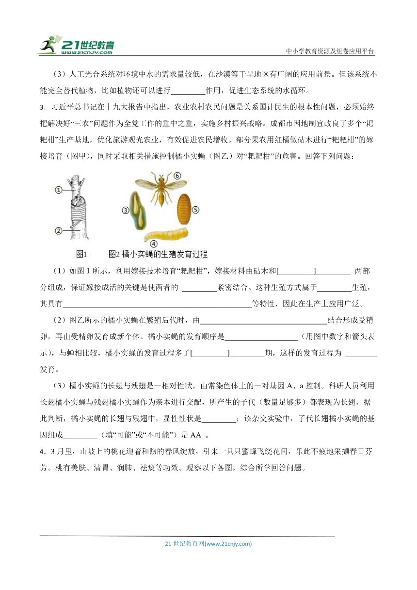 2024年中考生物读图理解专题复习：生物圈中的绿色植物（含答案）