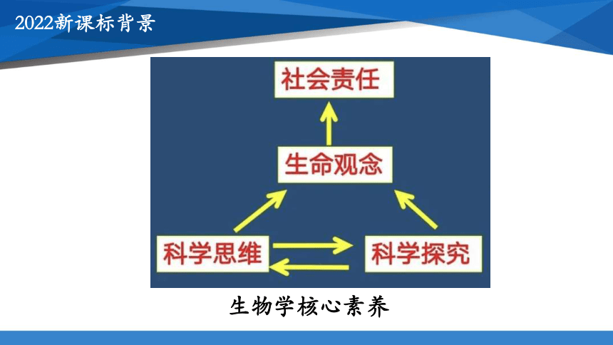 【新课标】人教版七年级下册 生物作业开发与设计分享(共22张PPT)