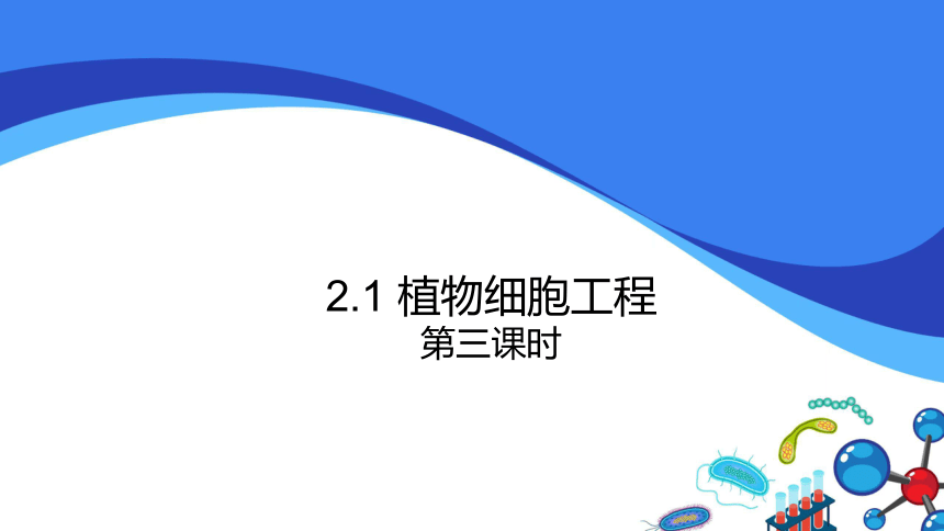 2.1植物细胞工程第三课时（共39张PPT）苏教版2019选择性必修3