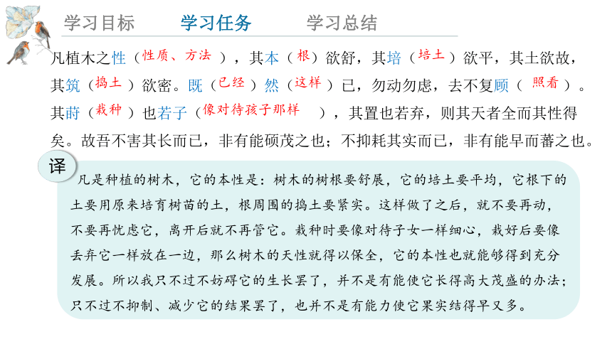 11.《种树郭橐驼传》 课件(共23张PPT)  2023-2024学年高一语文统编版选择性必修下册