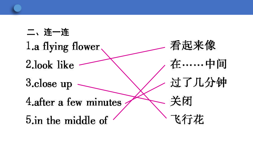 Unit 2  Lesson 11 Amazing Plants课件(共32张PPT)冀教版八年级下册