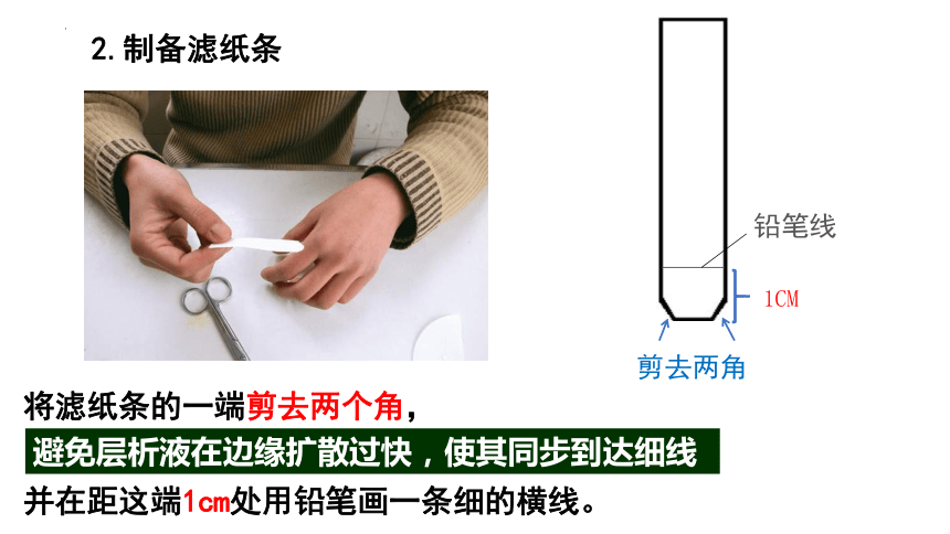 5.4.1捕获光能的色素和结构课件(37张1个视频)-人教版必修1