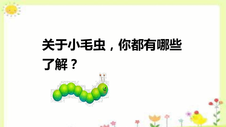 22 小毛虫 课件(共25张PPT)