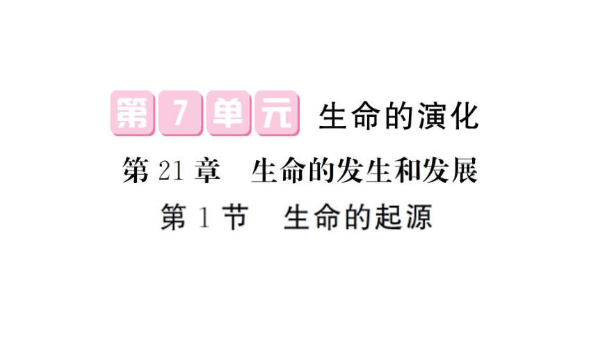 7.21.1 生命的起源 习题课件(共14张PPT) 北师大版 八年级下册