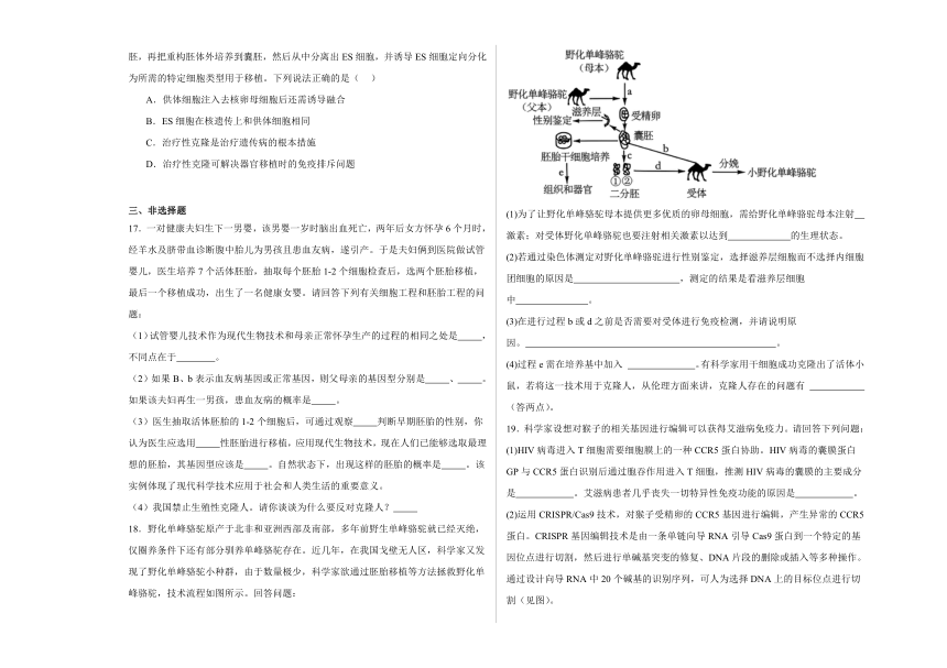 4.2关注生殖性克隆人 练习2023-2024学年高二下学期生物人教版选择性必修3（解析版）