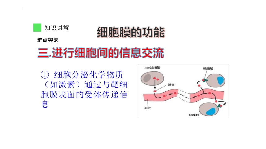 3.1细胞膜的结构和功能课件-(共33张PPT)人教版必修一 (1)