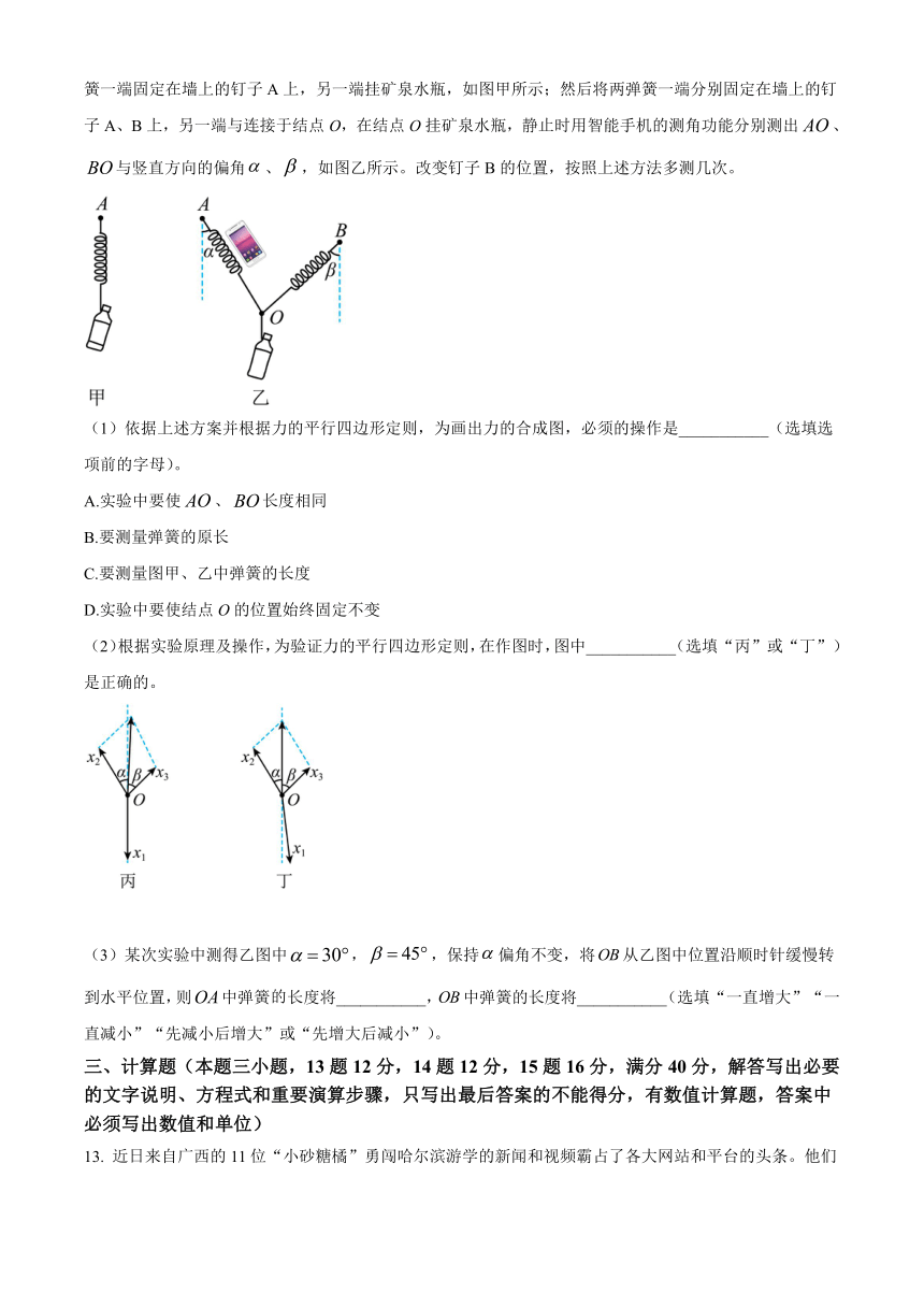 黑龙江省双鸭山市第一名校2023-2024学年高一下学期开学考试 物理（解析版）