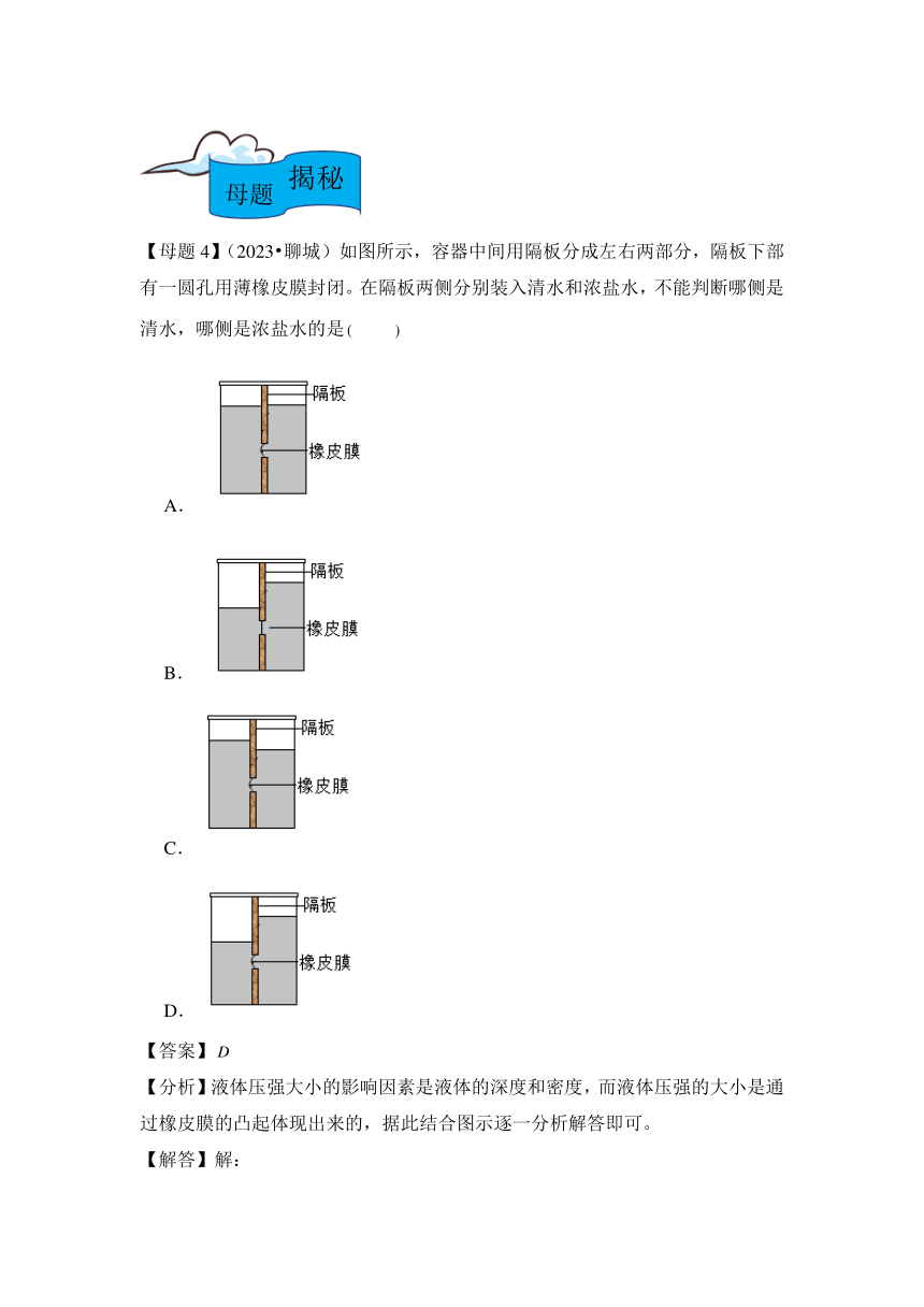 2024年中考物理母题解密专题09 压强 液体压强讲义（含答案）