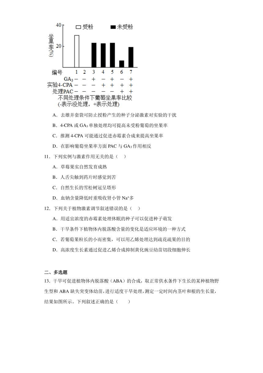 5.2其他植物激素同步练习2023-2024学年高二上学期生物人教版选择性必修1（解析版）