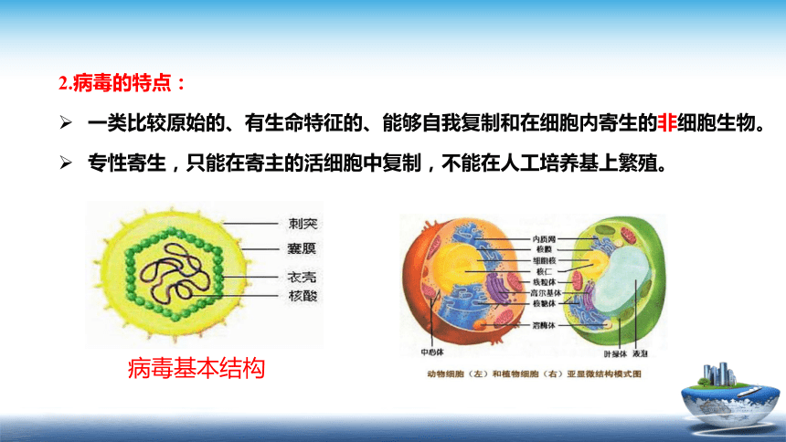 1.3.3  病毒对食品安全的影响、1.3.4 寄生虫和昆虫 课件(共35张PPT)- 《食品安全与控制第五版》同步教学（大连理工版）