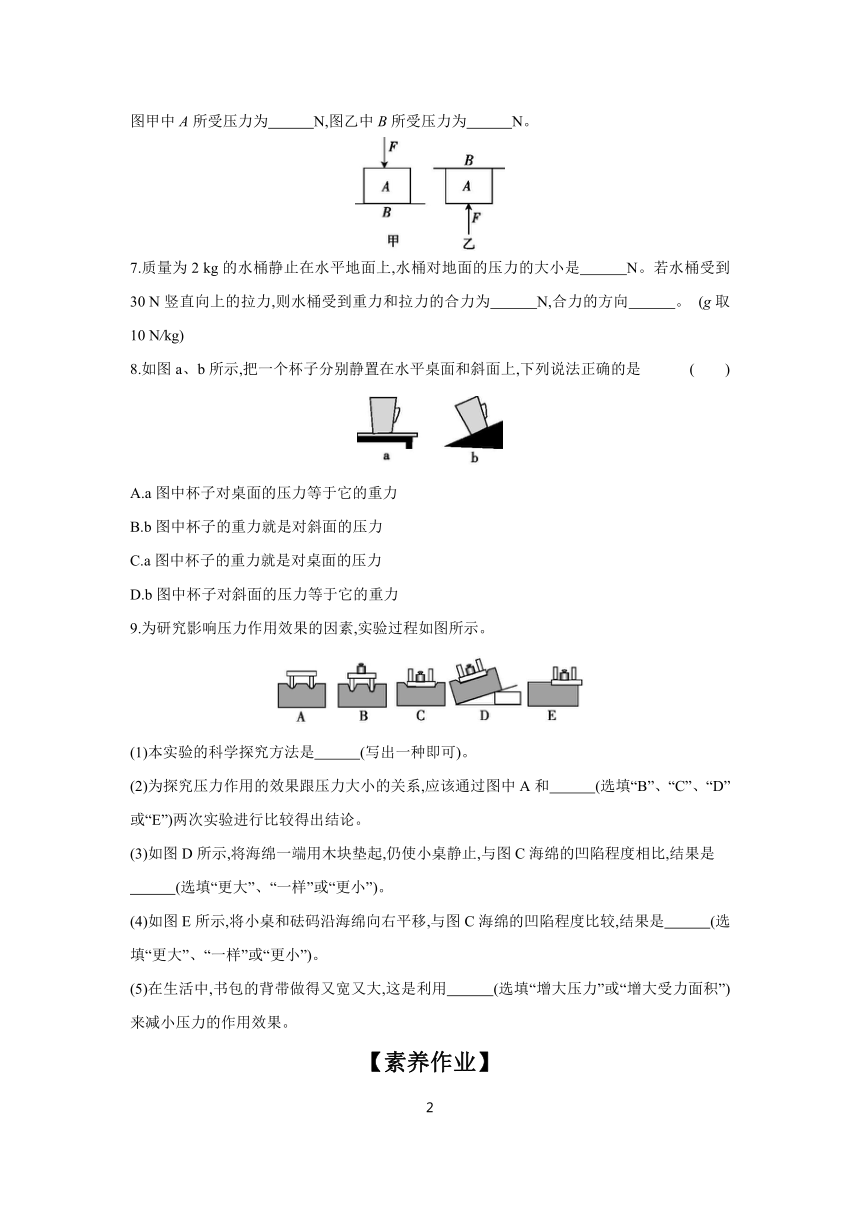 8.1 第1课时 压力的作用效果  课时作业（含答案） 2023-2024学年物理沪科版八年级下册