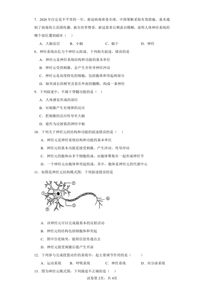 冀少版初中生物七年级下册2.4.2信息的传递同步练习（含答案）