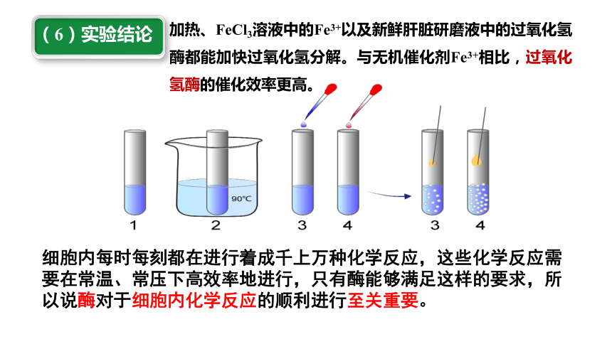 5.1 降低化学反应活化能的酶  课件(共41张PPT1份视频)(第一课时） 人教版（2019）必修1