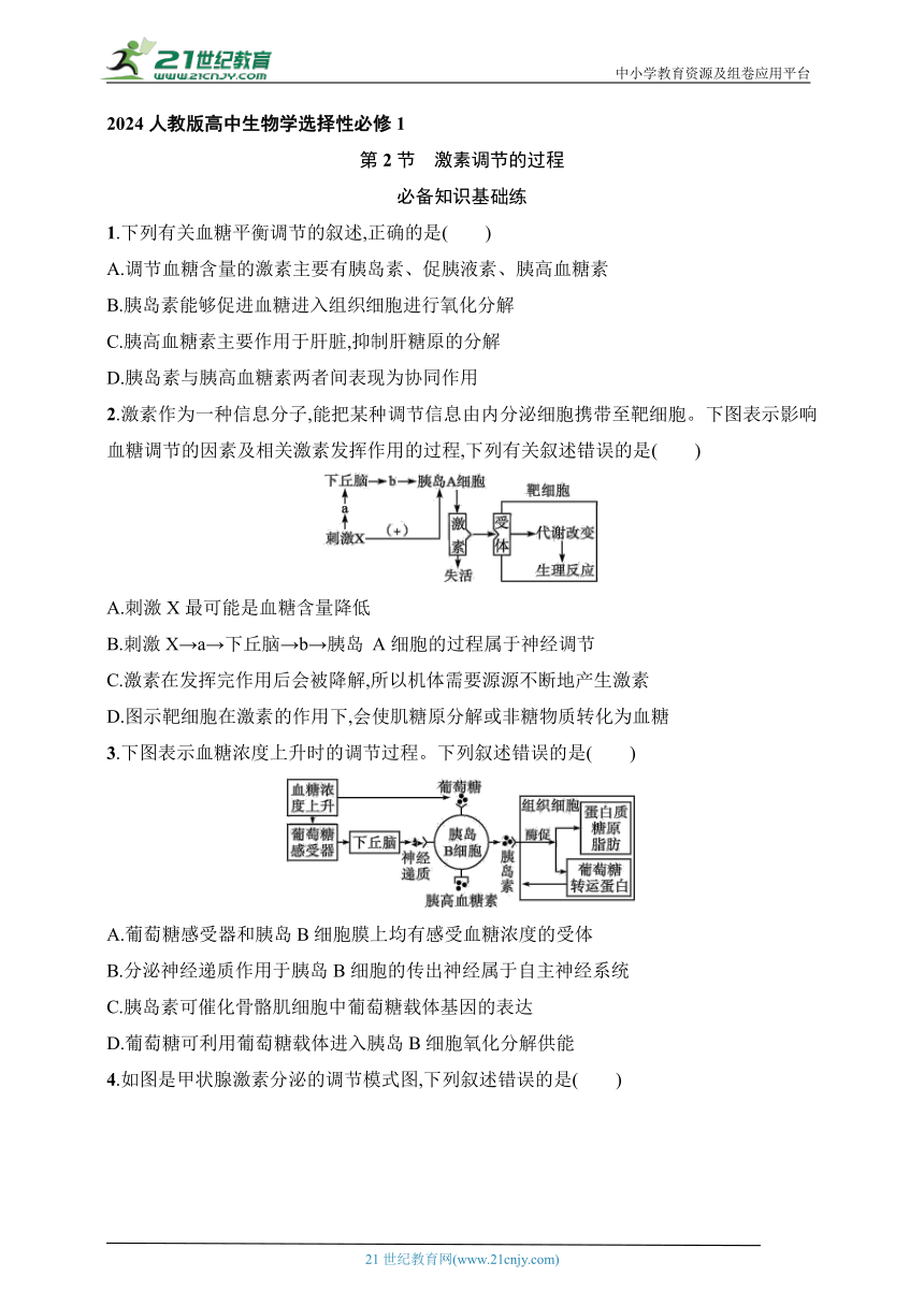 2024人教版(2019)高中生物学选择性必修1练习题--第2节　激素调节的过程（含解析）