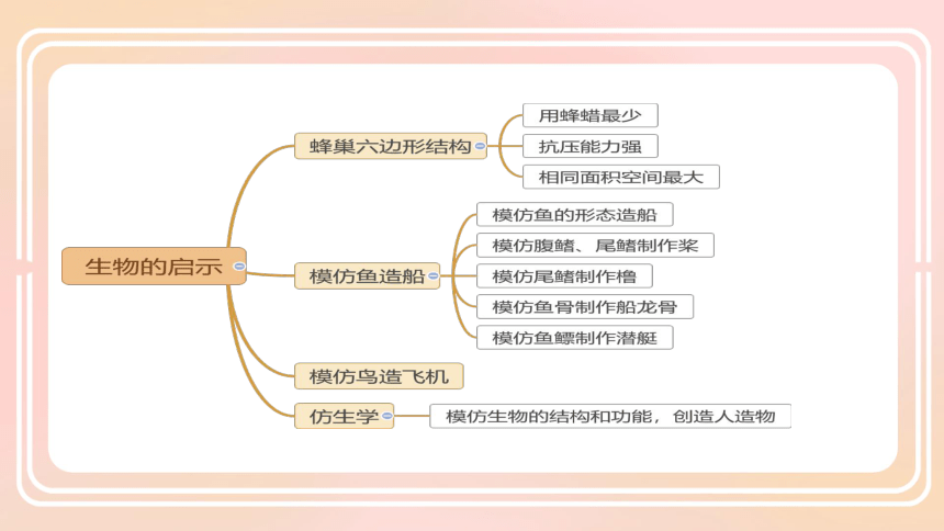 苏教版（2017秋）小学科学 第二单元 仿生 整理复习课件（共13张PPT）