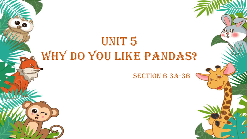 Unit 5 Why Do You Like Pandas? Section B 3a-3c课件 人教版七年级英语下册(共16张PPT）-21 ...