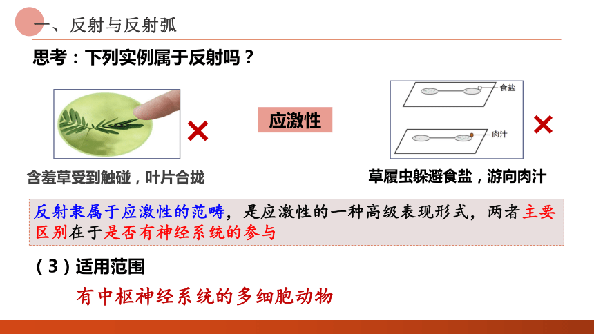 2.2神经调节的基本方式课件 (共26张PPT)人教版选择性必修1